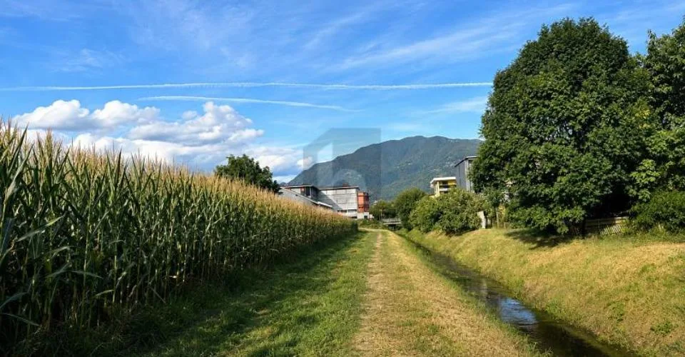AMPIO IN POSIZIONE SOLEGGIATA E STRATEGICA – Foto 4 von 5