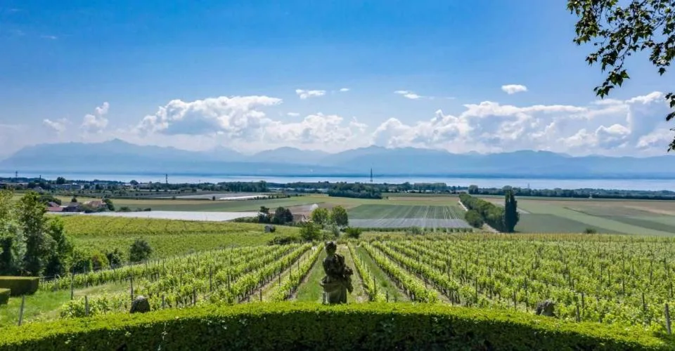 Propriété exceptionnelle et rare à la vente – Foto 6 von 8