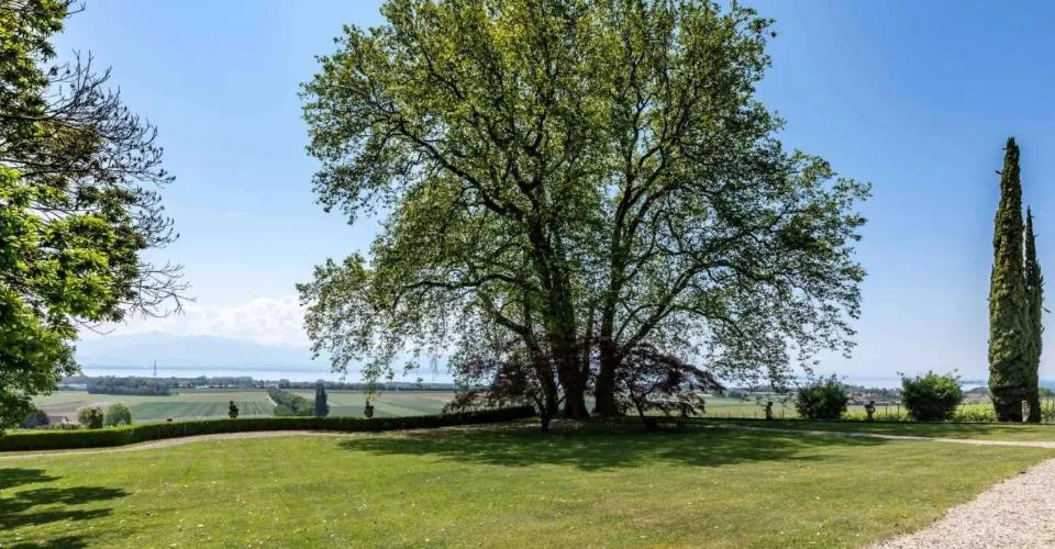 Propriété exceptionnelle et rare à la vente – Foto 5 von 8
