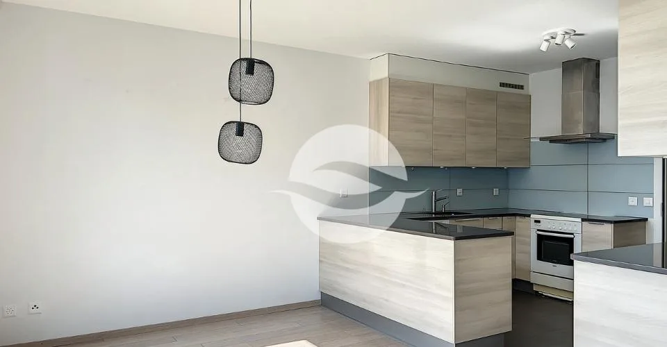 Vésenaz - Spacieux appartement de 6 pièces, calme absolu! – Foto 3 von 12