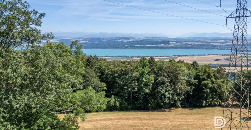 Nature, vue lac et 8'000 CHF-an de revenus passifs : votre future maison à Villars-Burquin – photo 12 of 13