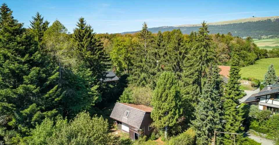TERRAIN À BÂTIR EXCLUSIF SURPLOMBANT LE LAC DE BIENNE – Foto 3 von 8