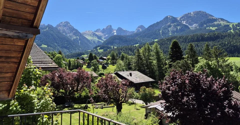 Balkon Durchgang & Alpenlicht LOT 6: Ein 2,5-Zimmer-Wohnung von Eleganz – Foto 2 von 27