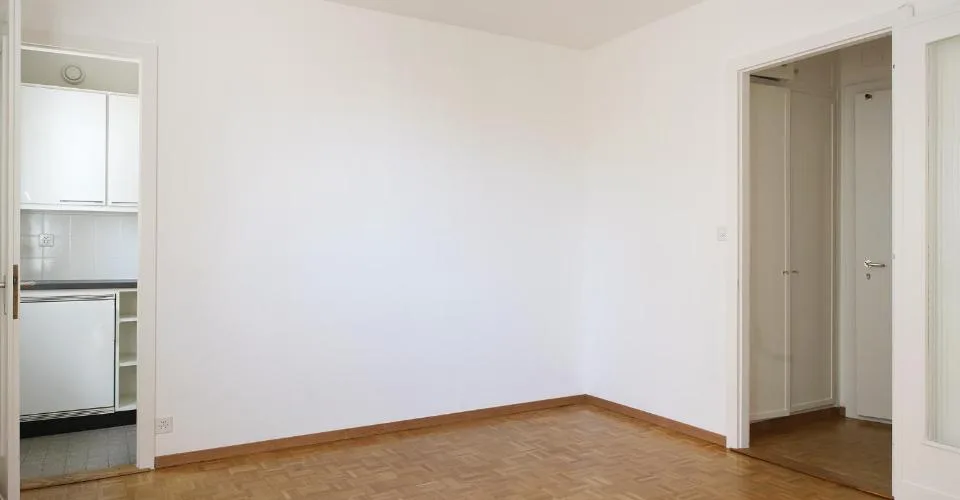 GENEVE - 5, rue Etienne-Dumont - 1 pièce & kitchenette - 23 m2 – Foto 2 von 8