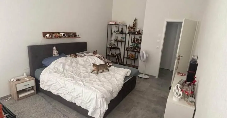 A louer magnifique 3,5 pièces moderne avec vaste terrasse de 60 m² – Foto 5 von 11