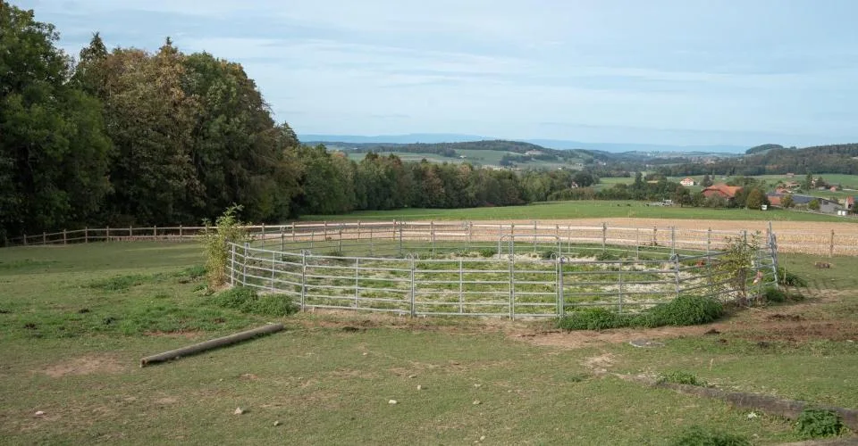 DOMAINE ÉQUESTRE AVEC 6 LOGEMENTS ET UN TERRAIN DE 10'474 M² – Foto 8 von 13