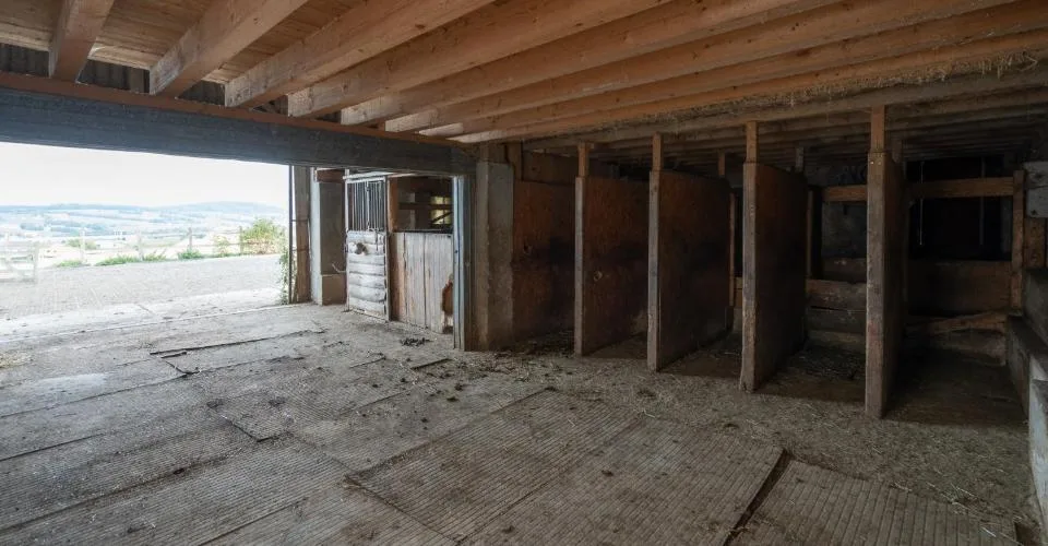 DOMAINE ÉQUESTRE AVEC 6 LOGEMENTS ET UN TERRAIN DE 10'474 M² – Foto 7 von 13
