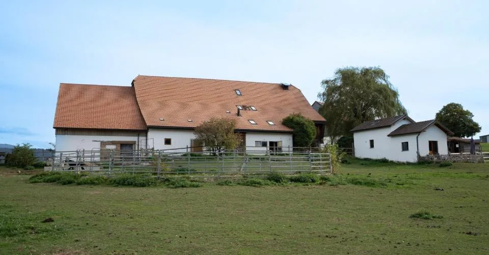 DOMAINE ÉQUESTRE AVEC 6 LOGEMENTS ET UN TERRAIN DE 10'474 M² – Foto 3 von 13