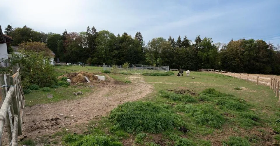 DOMAINE ÉQUESTRE AVEC 6 LOGEMENTS ET UN TERRAIN DE 10'474 M² – Foto 5 von 13