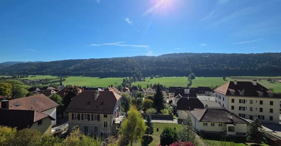 Maison individuelle de caractère avec grand jardin de 1455 m2 et potentiel de construction supplémentaire – foto 4 di 13