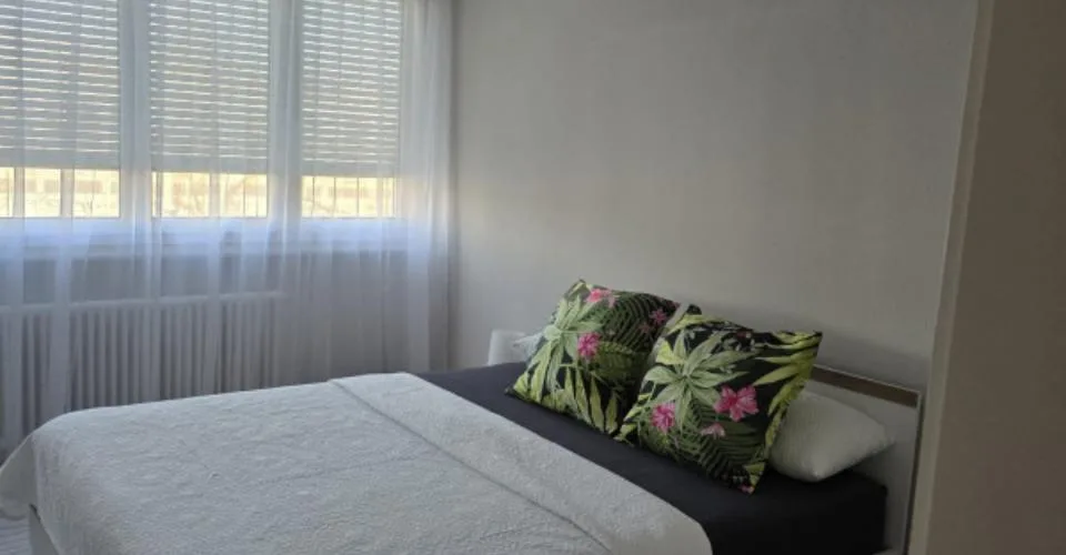 Beautiful 4-room furnished apartment in Meyrin – photo 5 of 8