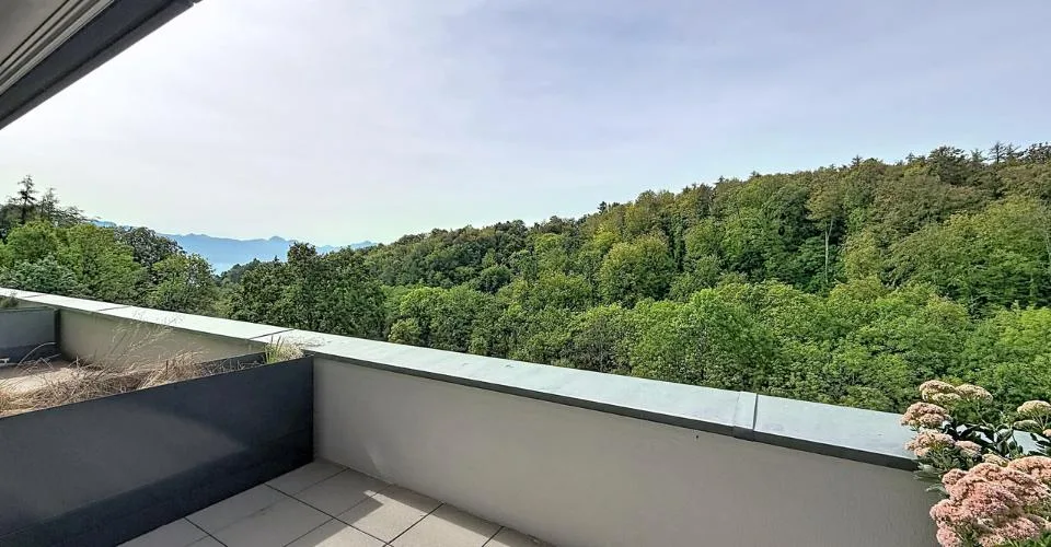 IN ESCLUSIVA I Bellissimo appartamento di 2,5 locali con terrazza – foto 8 di 8