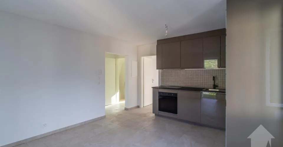 Appartamento affascinante 3.5 stanze ristrutturato con giardino e terrazza – foto 33 di 34