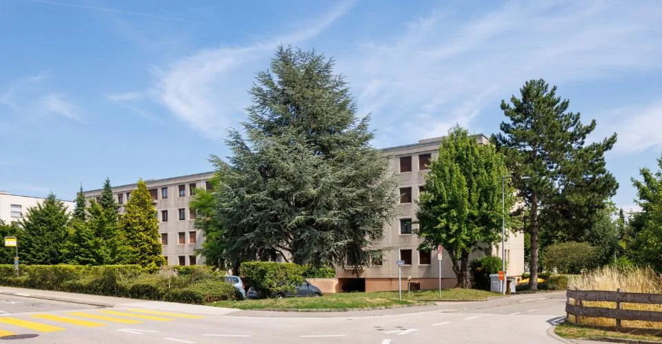 Appartement – foto 4 di 5