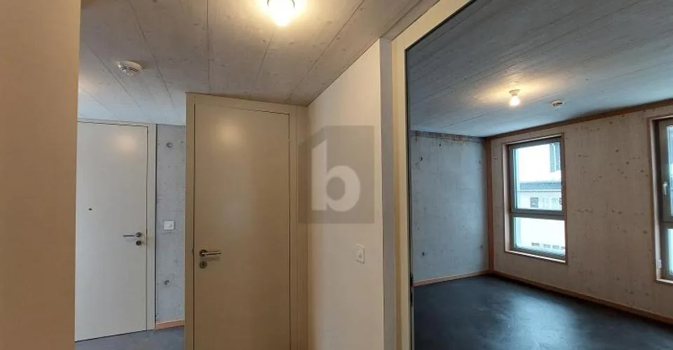 ALPINE ÄSTHETIK - MODERN INTERPRETIERT – photo 3 sur 6