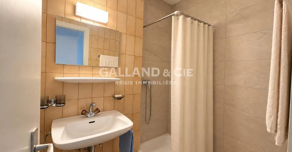 Ampio appartamento di 3.5 locali con vista - ~ 130 m² - Quartiere Mousquines-Verdeil – foto 8 di 8