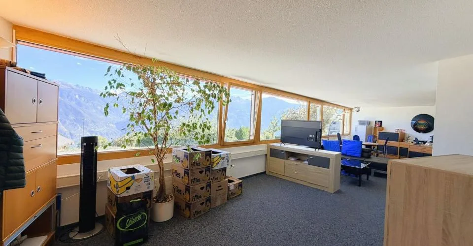 Magnificent 2.5-room loft - Very spacious & very bright - Superb view - Quiet location - Well situated – photo 3 of 17