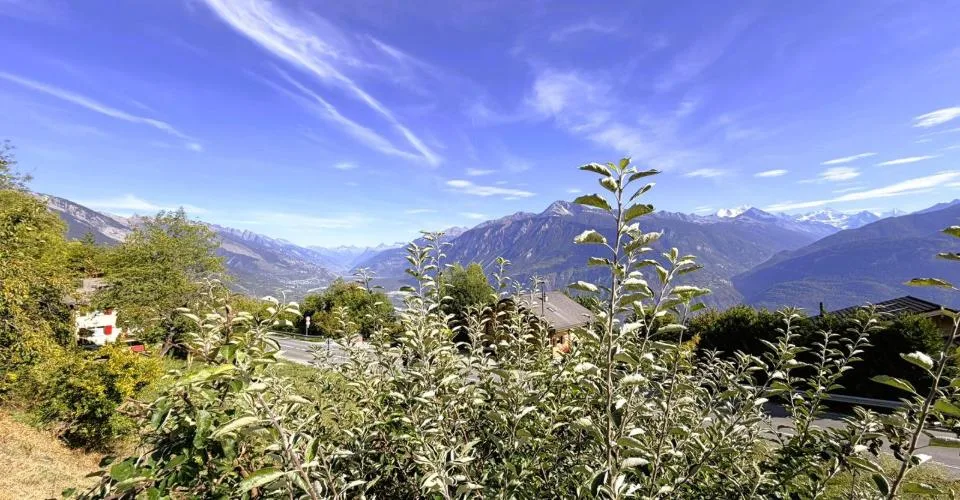 Magnificent 2.5-room loft - Very spacious & very bright - Superb view - Quiet location - Well situated – photo 16 of 17