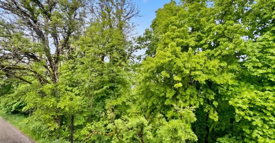 Exklusiv: Einfamilienhaus zur Renovierung in Brenets – Foto 4 von 26
