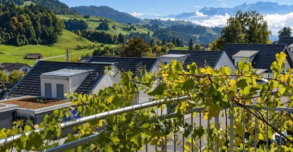 PANORAMASICHT MIT VIEL PLATZ UND FLEXIBLER NUTZUNG – foto 2 di 6