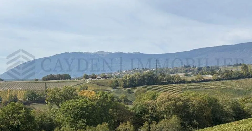 4 Pezzi rez-de-jardin con vista magnifica (Piano inferiore) - Lot 2.01 – foto 12 di 12