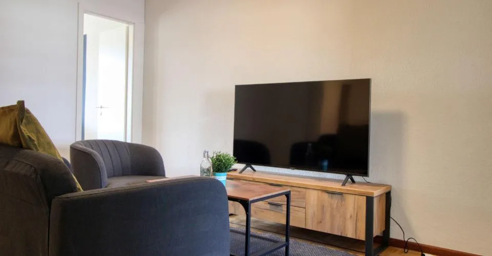 Coliving Spacieux et Moderne à Grand-Saconnex, Genève – foto 44 di 45