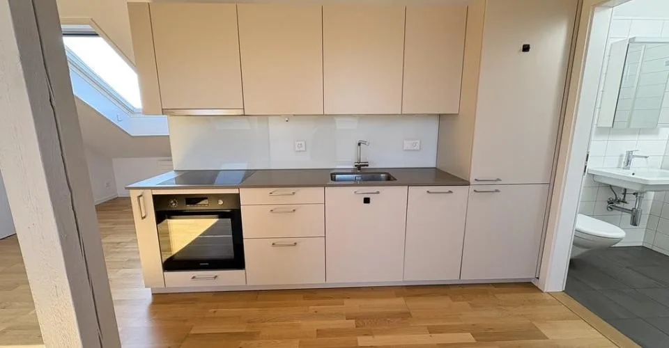 Appartement cherche célibataire ! – photo 5 sur 8
