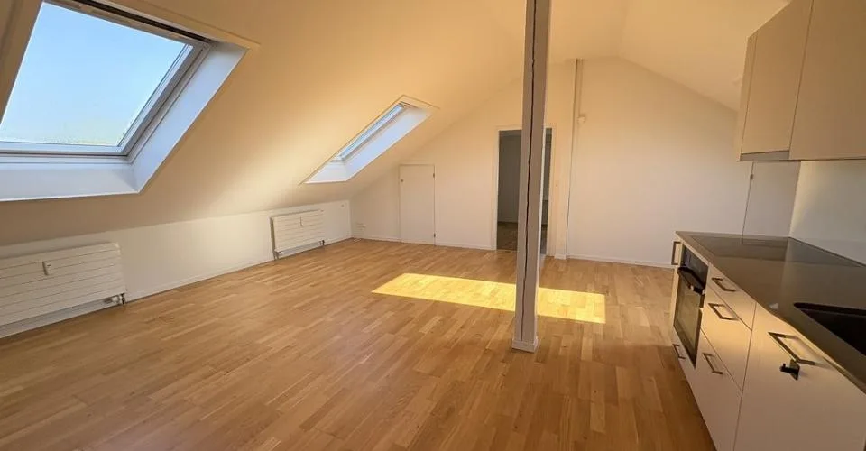 Appartement cherche célibataire ! – photo 2 sur 8