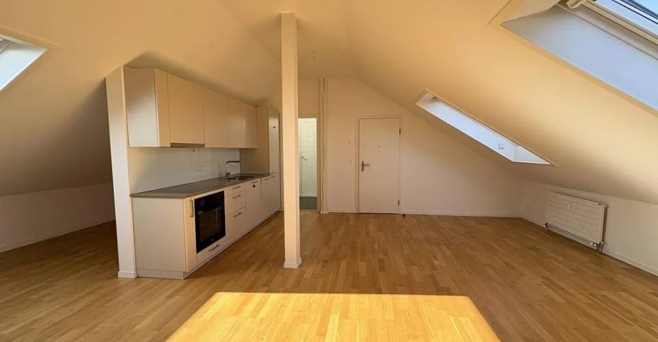 Appartement cherche célibataire ! – photo 3 sur 8