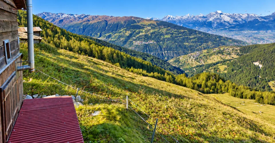 3.5 Zimmer Einfamilienhaus in Mase – Foto 5 von 13