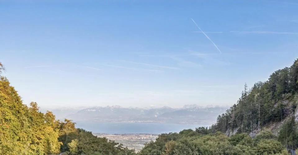 Opportunité - Qualité, tranquillité et vue sur le Léman et les Alpes – photo 7 sur 13
