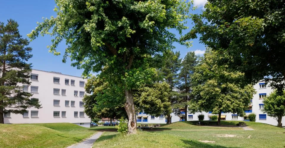 Appartement – foto 4 di 4