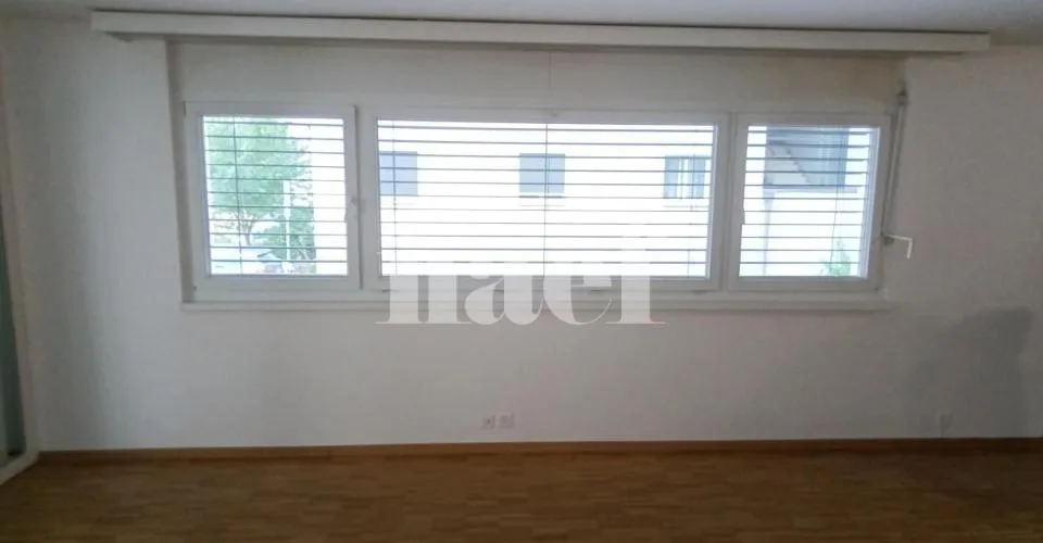 Appartement de 6 pièces au rez-de-chaussée, Petit-Lancy – Foto 2 von 11