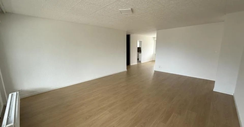 Lumineux, spacieux, rafraîchi : 4½ pièces avec vue panoramique – foto 2 di 7