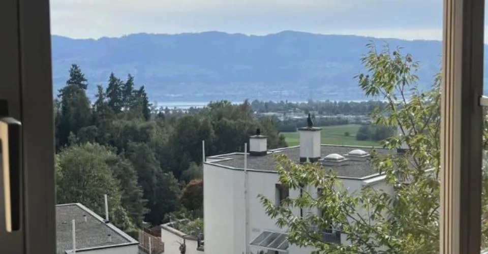 Ihr neues Zuhause in Jona – foto 7 di 9