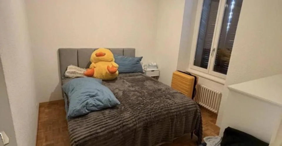 Appartement 2 pièces aux Eaux-vives – photo 2 sur 5