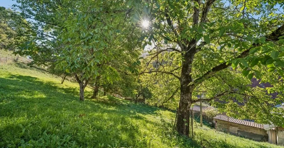 Propriété protégée à rénover - avec réserves de terrain constructible – photo 3 sur 7