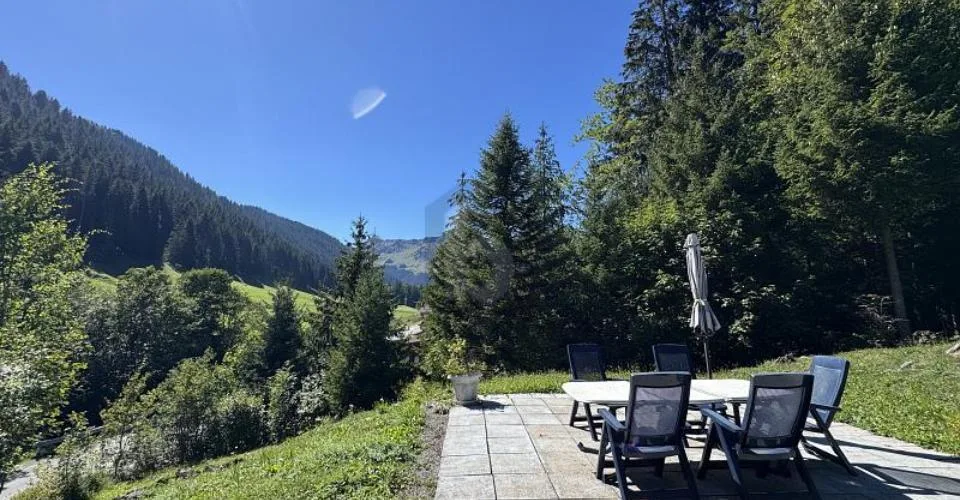 COEUR DES PORTES DU SOLEIL, MAGNIFIQUE AVEC SAUNA – Foto 2 von 6