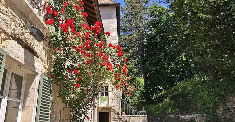 Castello del XII secolo, a 45 minuti da Ginevra – foto 16 di 26