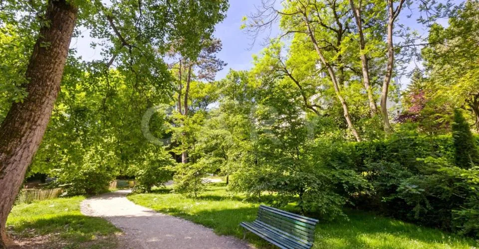 Spacieux appartement de 7 pièces dans le quartier prisé de Champel – foto 2 di 3
