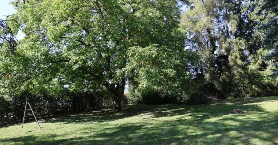 Demeure de caractère avec parc de 2'600 m2 – Foto 9 von 13