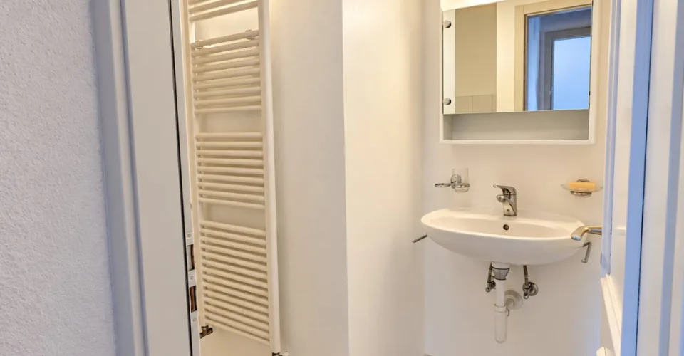 Magnifique Logement de 4.5 pièces au 2ème étage – foto 12 di 13