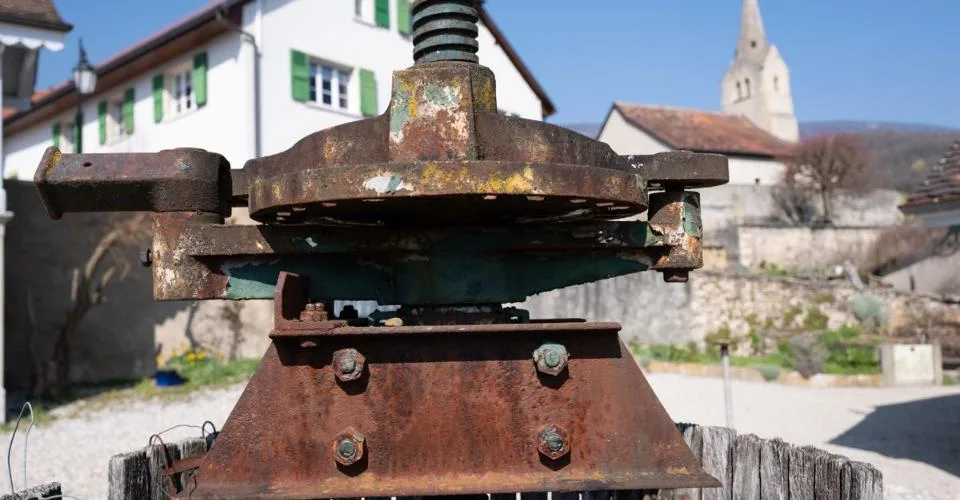 Le Domaine au Marronnier - Une propriété d'exception au coeur du vignoble vaudois – Foto 2 von 13