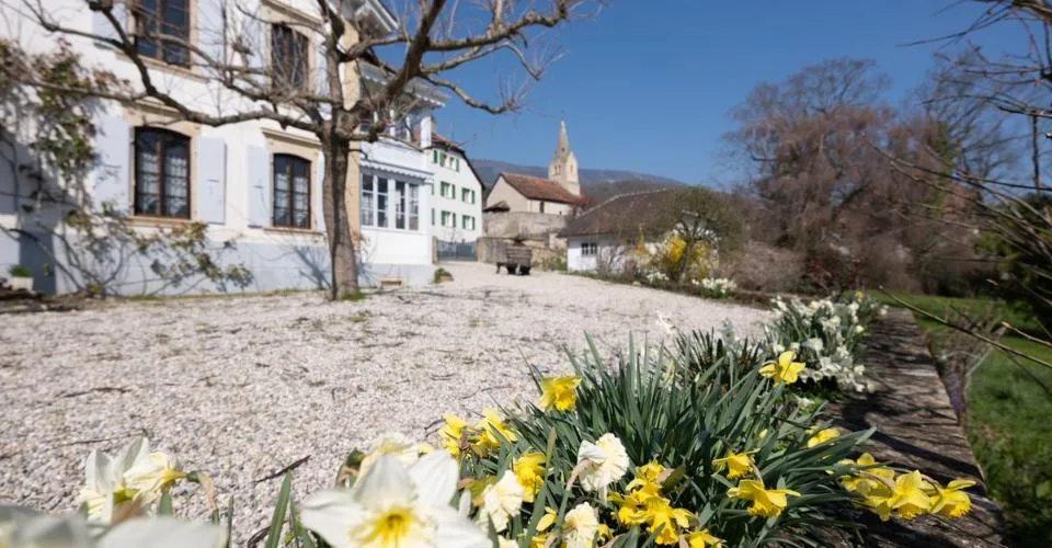 Le Domaine au Marronnier - Une propriété d'exception au coeur du vignoble vaudois – Foto 3 von 13