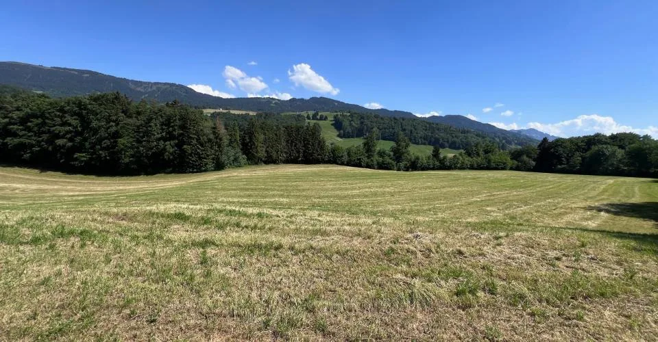 À vendre, Ferme, 1649 Pont-la-Ville, Réf 6270477 – photo 11 of 13