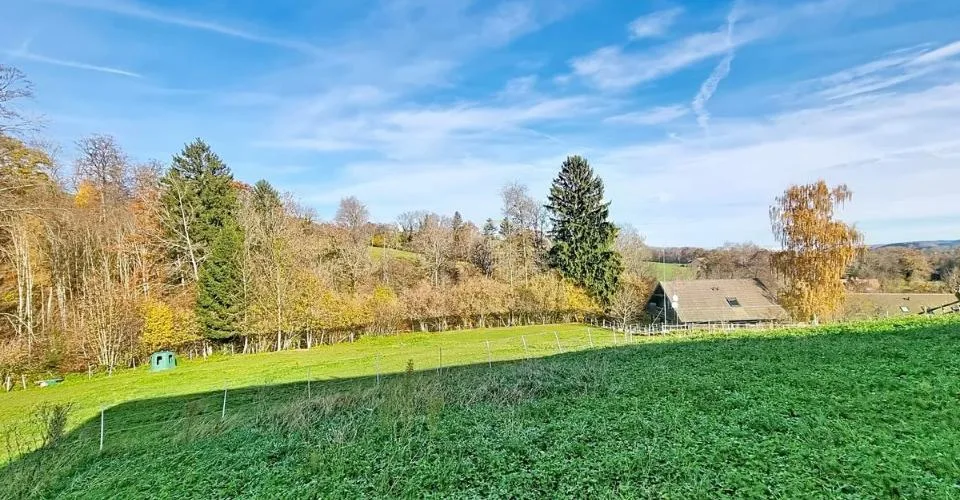 CORCELLES-LE-JORAT, villa mitoyenne neuve de 7.5 pièces – photo 2 of 10