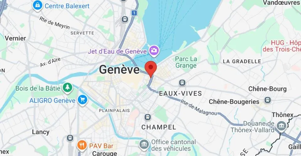 EAUX-VIVES (RIVE) - Duplex 5 pièces ≈85 m² Rooftop & Vue Jet d'Eau – foto 6 di 6
