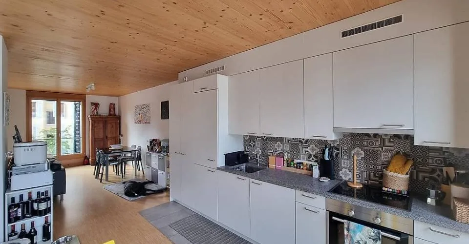 EAUX-VIVES (RIVE) - Duplex 5 pièces ≈85 m² Rooftop & Vue Jet d'Eau – foto 3 di 6