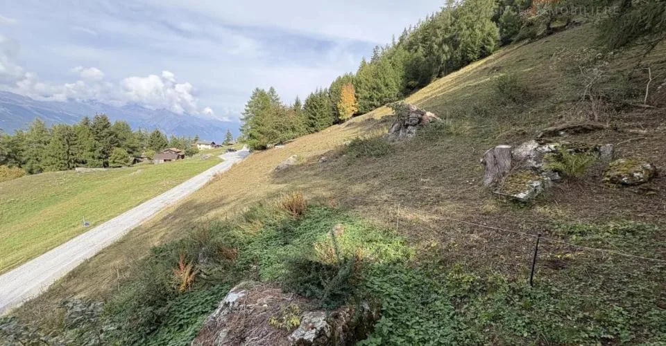 Magnifique parcelle aux portes de Haute-Nendaz – foto 3 di 5