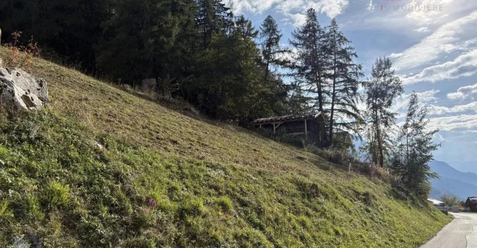 Magnifique parcelle aux portes de Haute-Nendaz – foto 5 di 5
